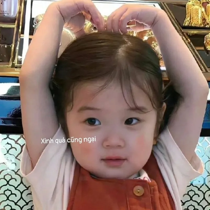 Săn lùng những khoảnh khắc ảnh em bé meme