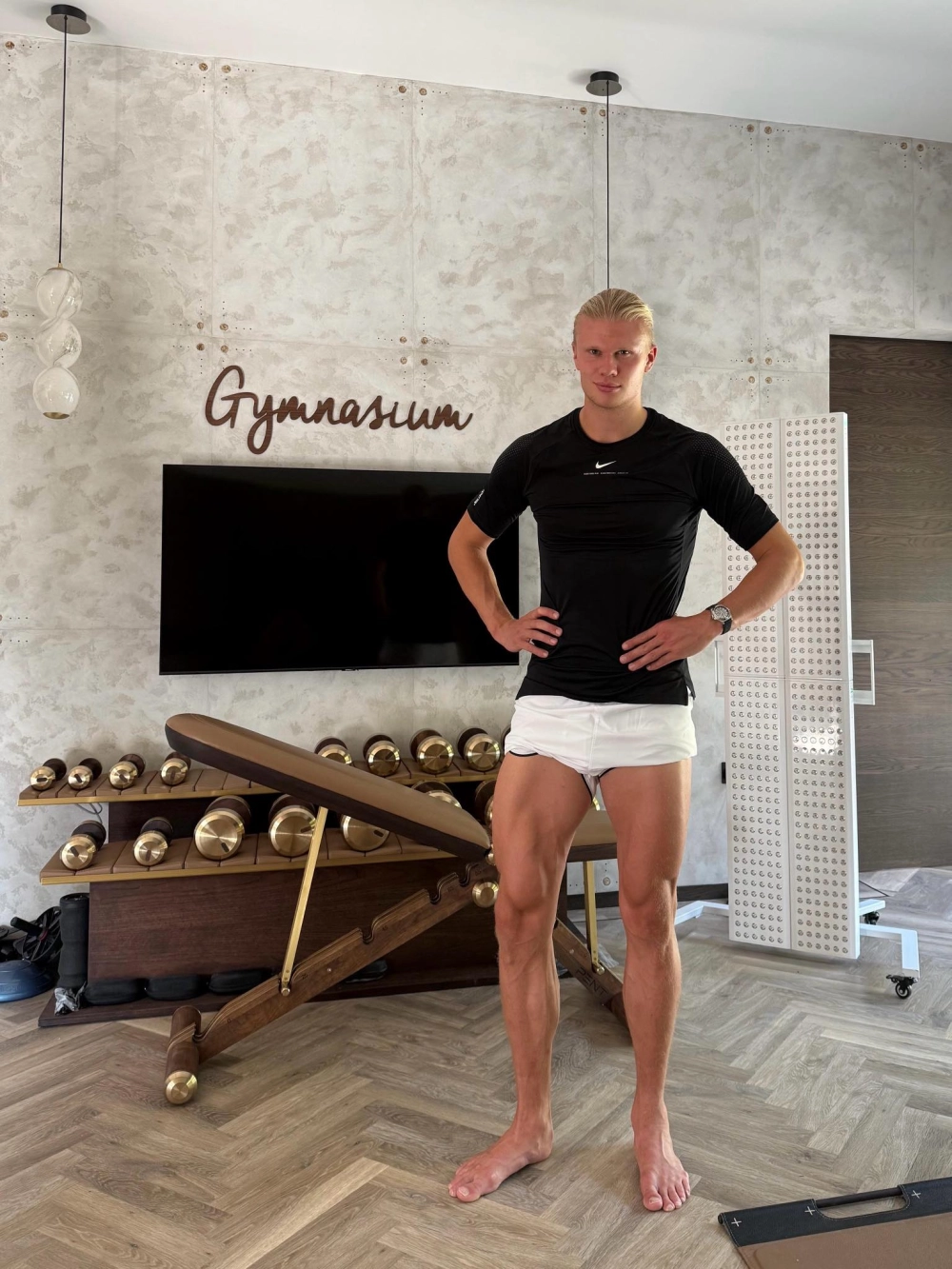 Erling Haaland goals ấn tượng với tốc độ và sức mạnh