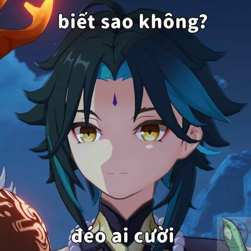 Khám phá những bức ảnh genshin meme hài hước