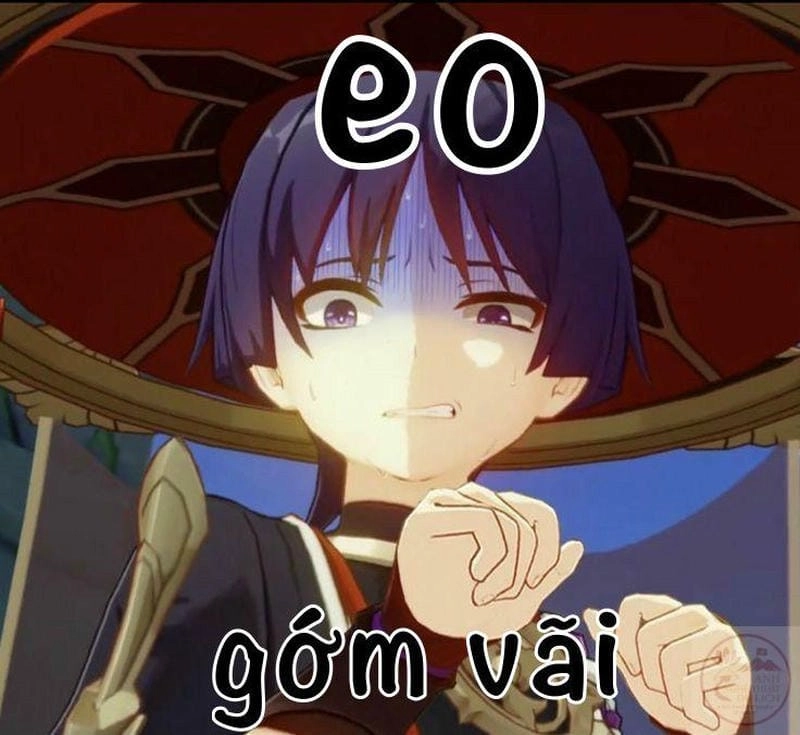 Cười sảng với genshin meme chất