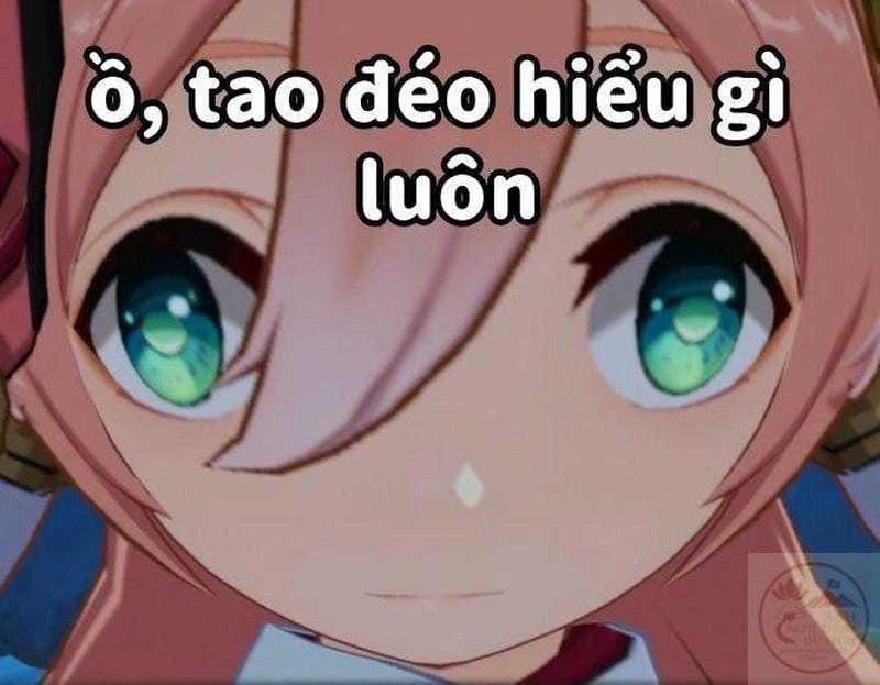 Gợi ý những bức genshin meme chế
