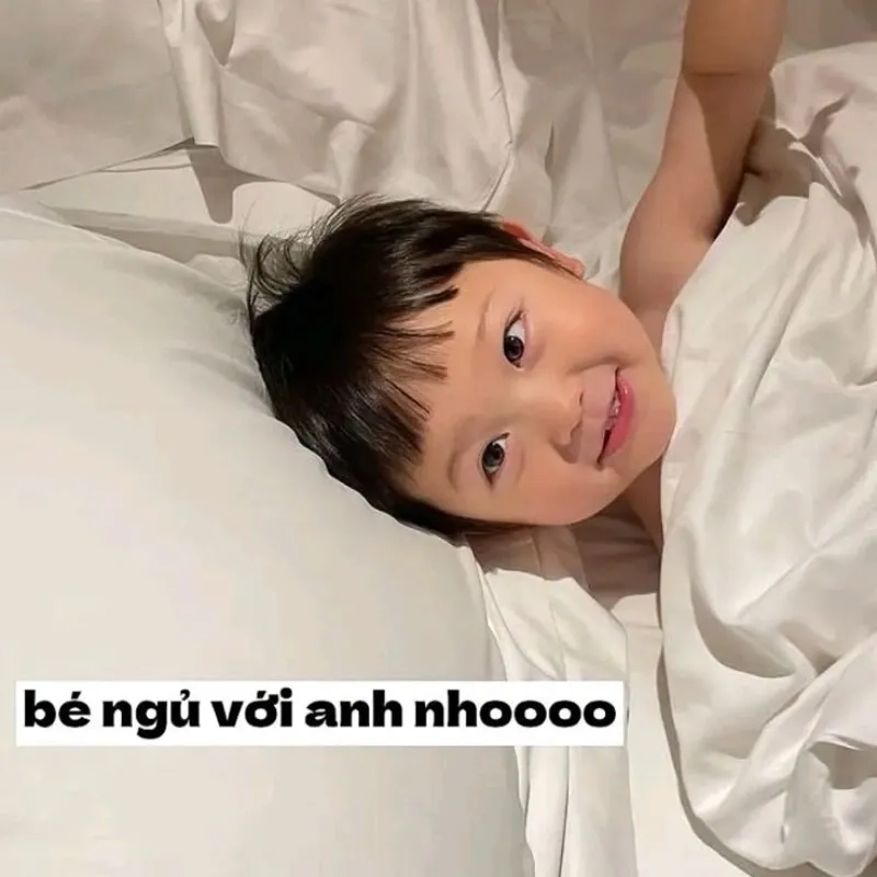 Cùng du ngoạn good night meme thư giãn