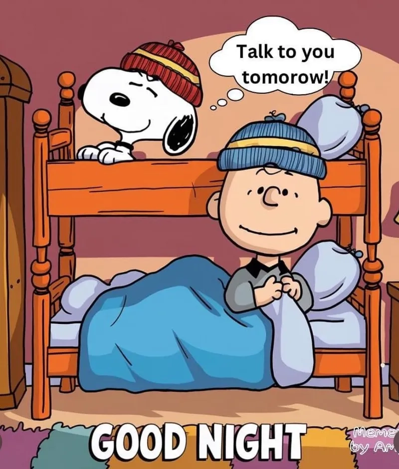 Cùng cười với những hình good night meme dễ thương