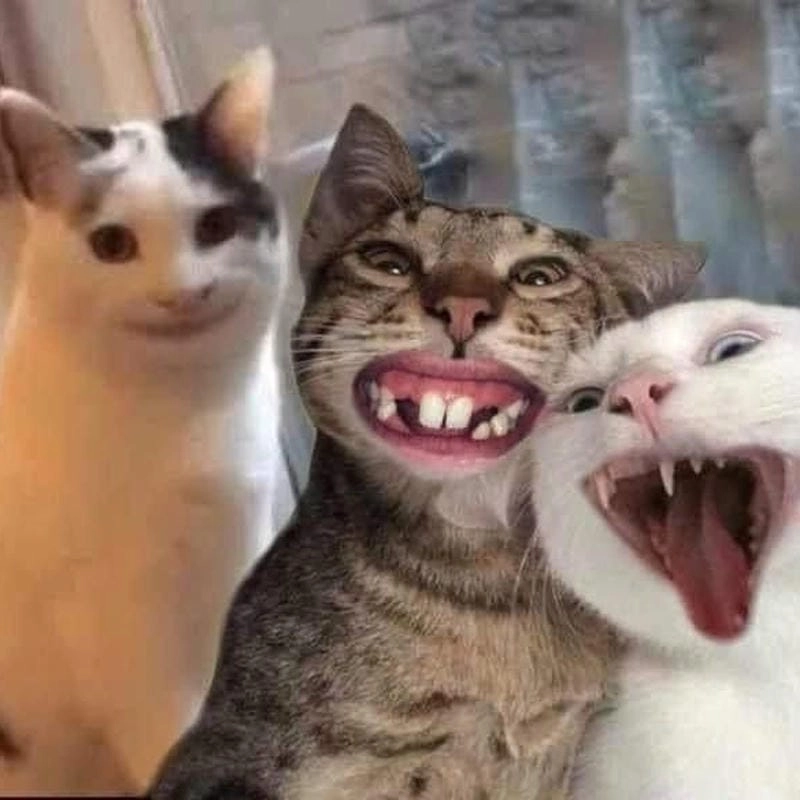 Gợi ý những bức haha meme reaction