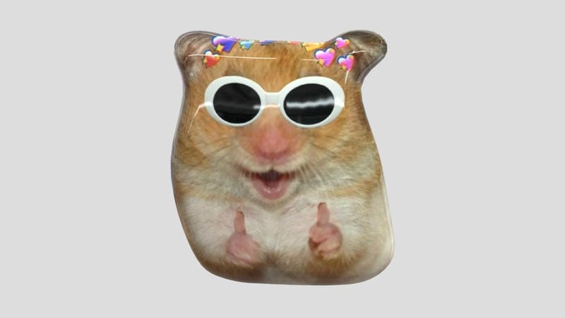 Ngắm nhìn vẻ đẹp hamster meme đáng yêu