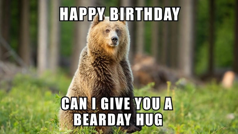 Lạc lối trong happy birthday meme hay