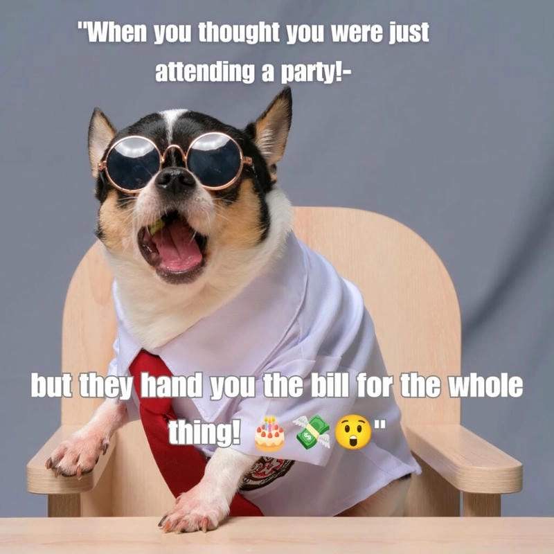 Gợi ý những bức happy birthday meme cute