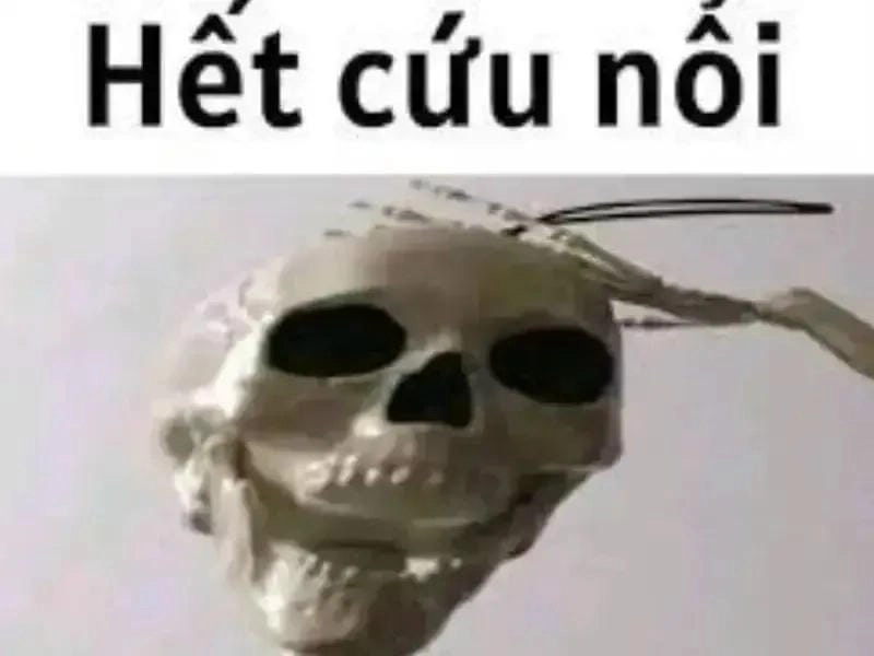 Tìm hiểu sức hút của hết cứu nổi meme