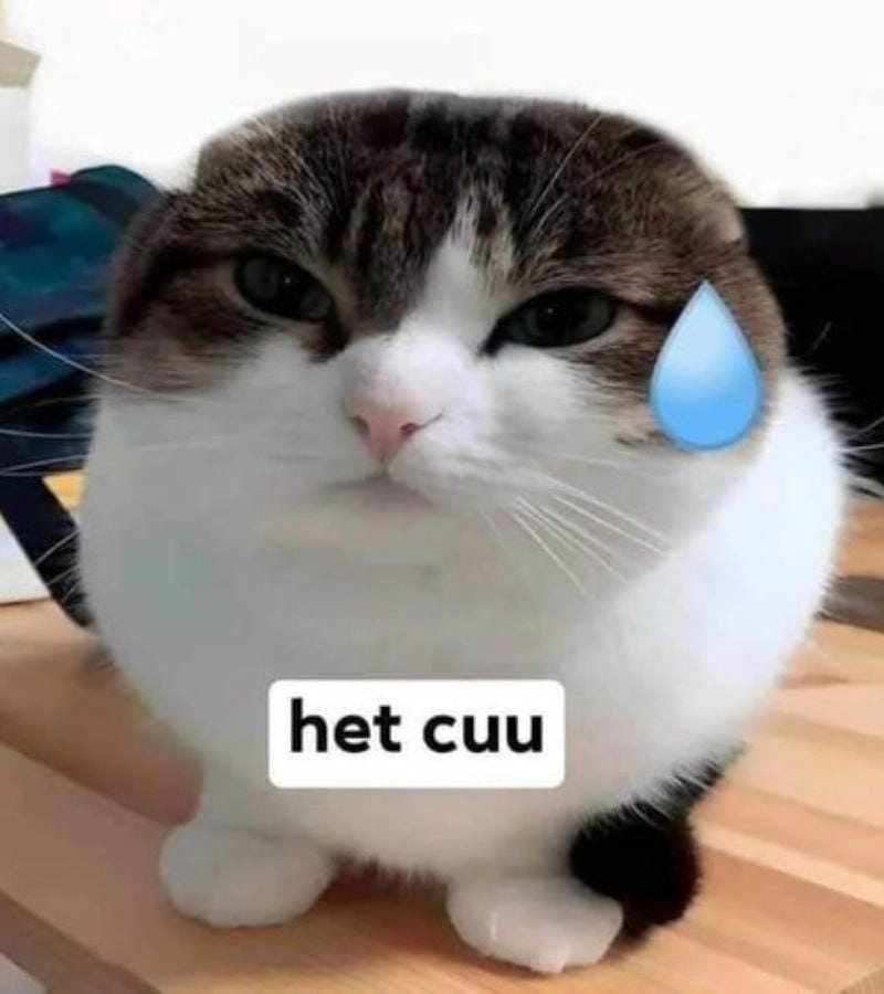 Cùng cười với những hình hết cứu nổi meme vui nhộn