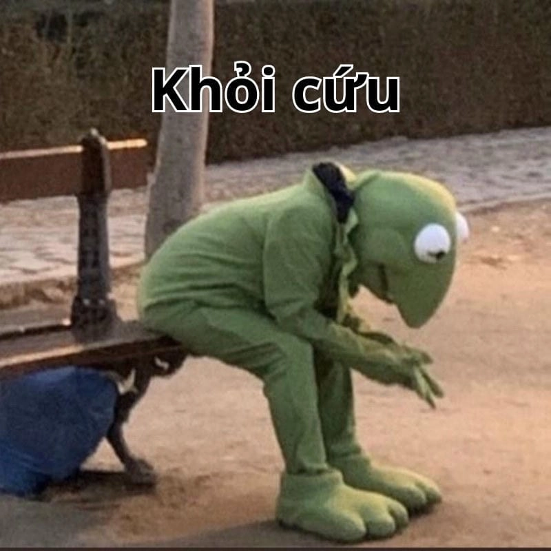 Gợi ý những bức hết cứu nổi meme cute