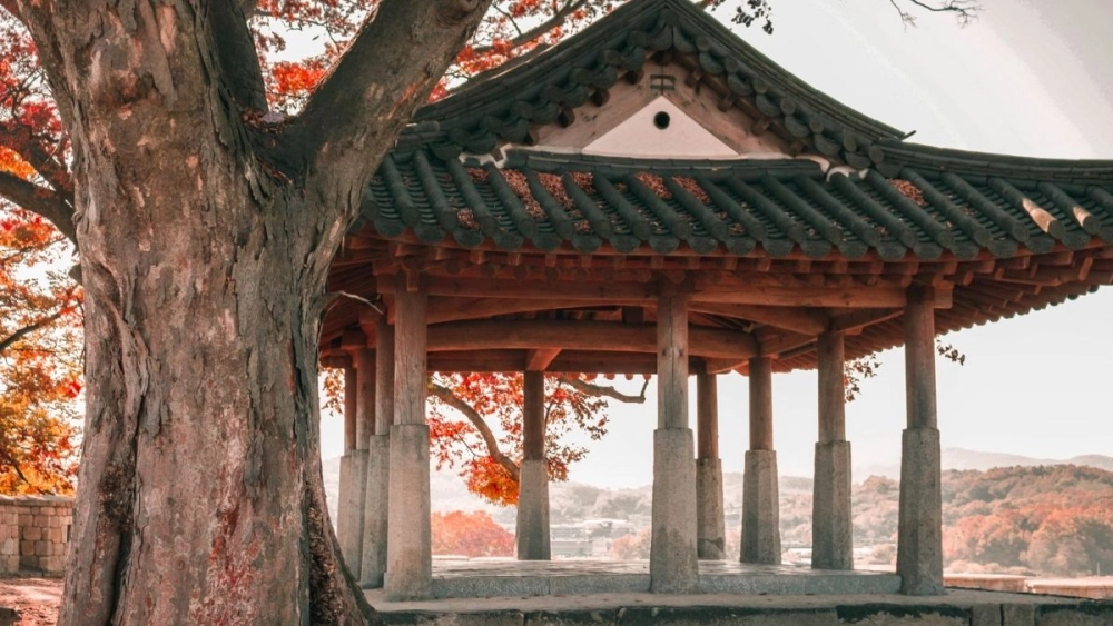 Khám phá đô thị hiện đại cùng phong cảnh Hàn Quốc seoul