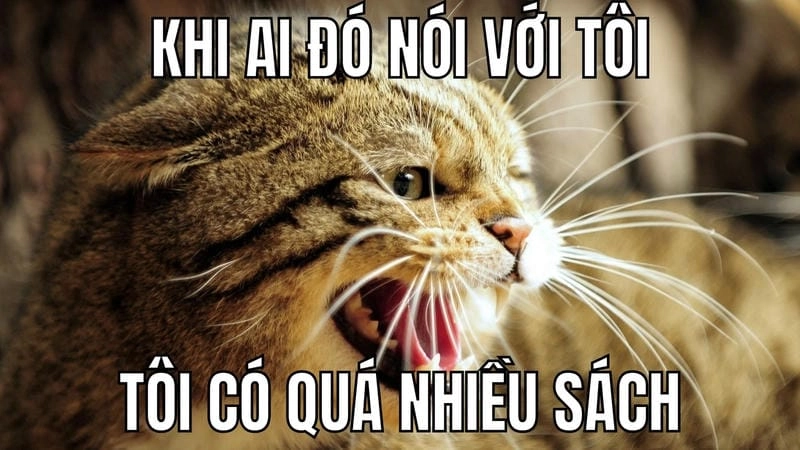 Tìm hiểu sức hút của hình meme