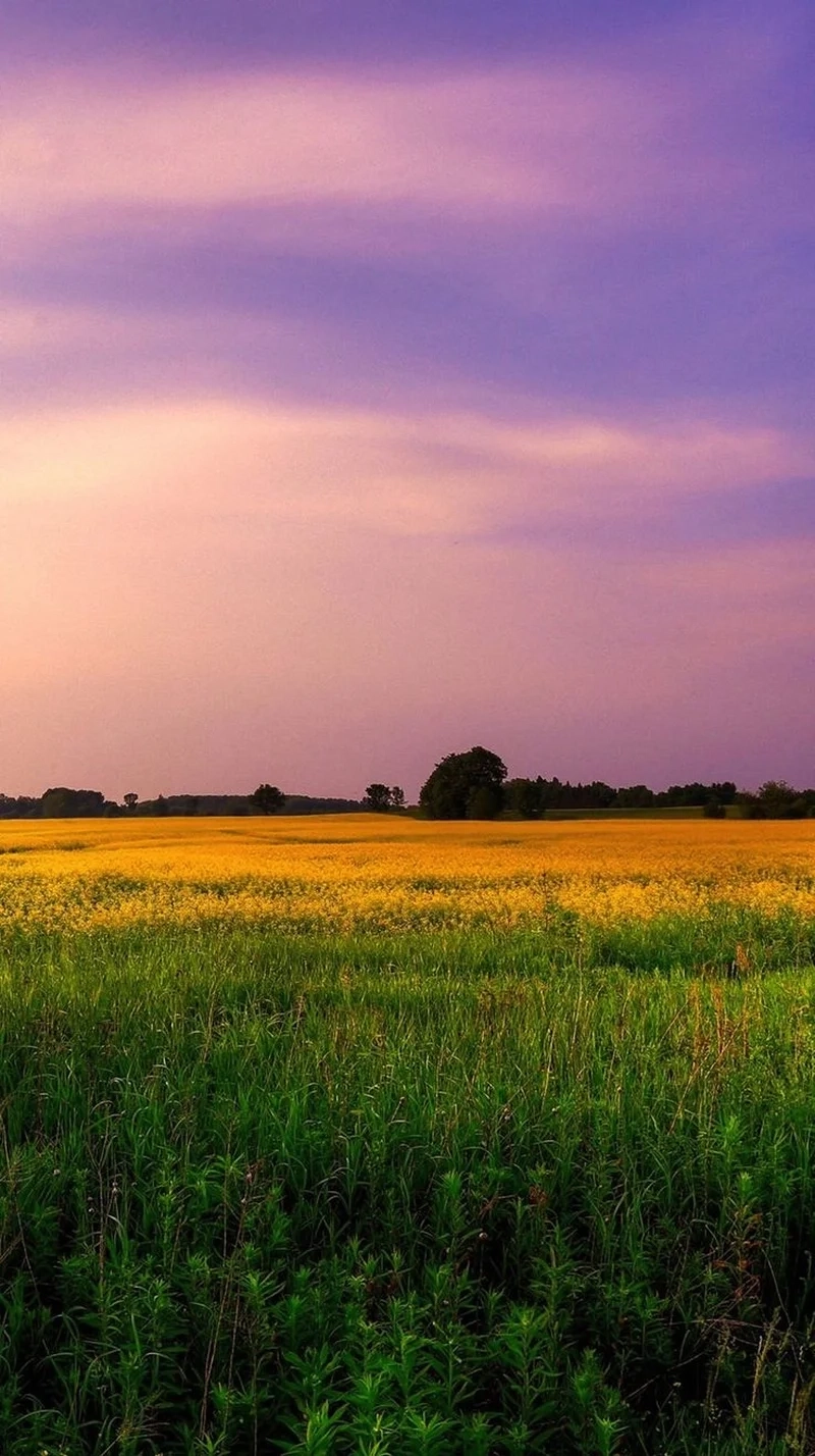 Cảm nhận sự nhẹ nhàng cùng hình nền chill chill thư thái