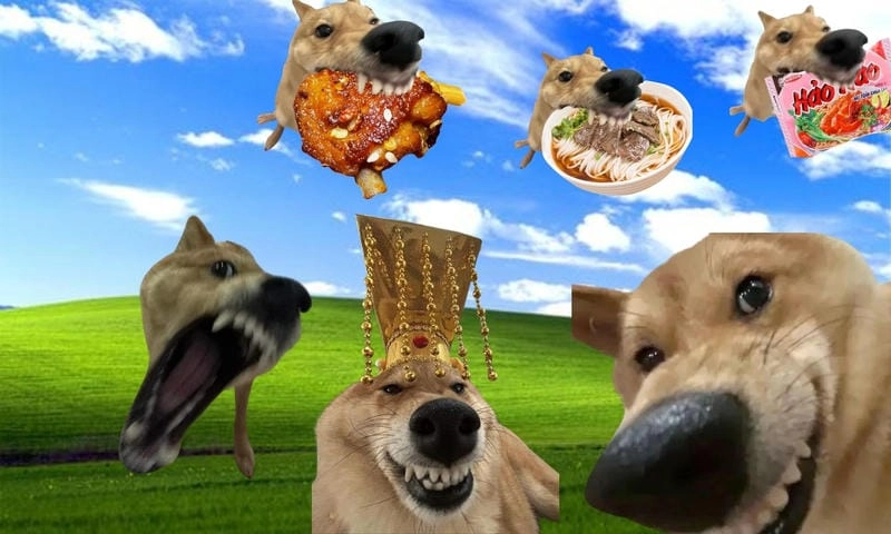 Cùng du ngoạn hình nền máy tính meme cute