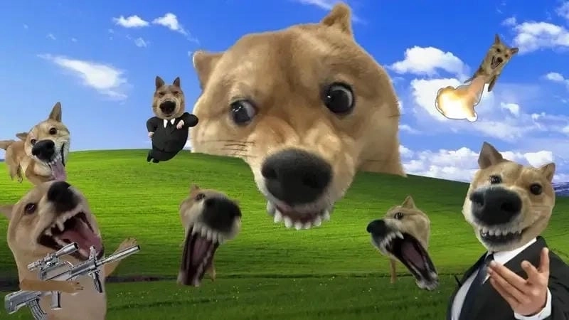 Tìm hiểu Sức hút của ảnh meme làm hình nền