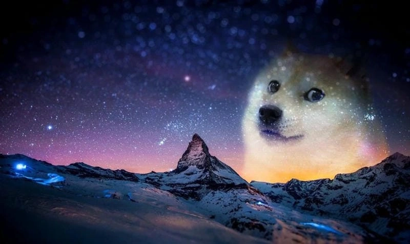 Lạc lối trong thế giới wallpaper máy tính meme