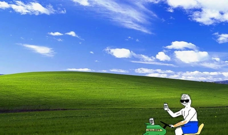 Cười sảng với hình nền máy tính meme mới nhất