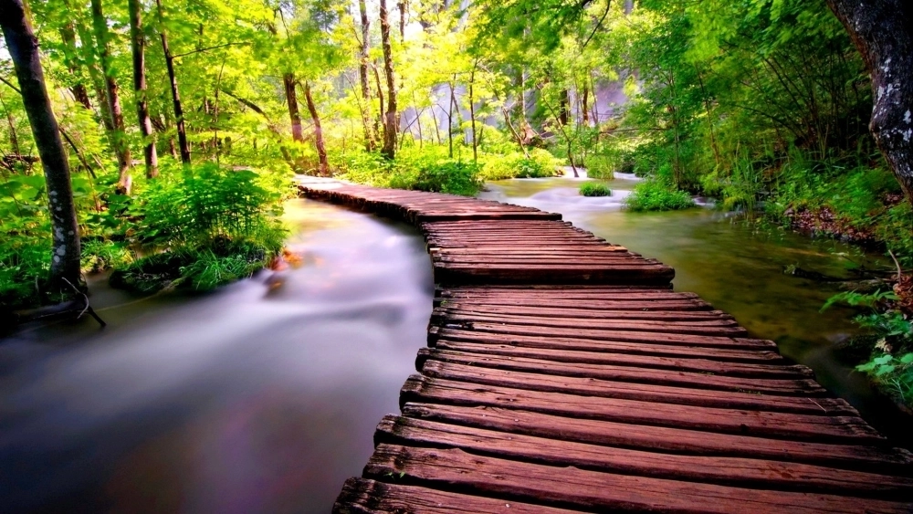 Khám phá ảnh nền phong cảnh đẹp giúp màn hình thêm sinh động và tươi mới