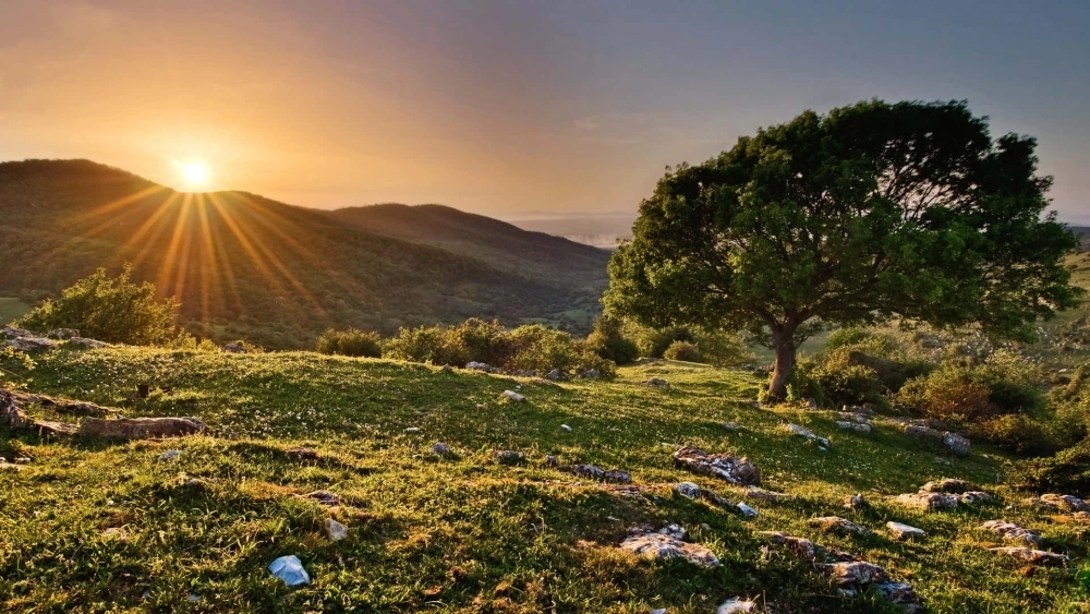 Tận hưởng vẻ đẹp thiên nhiên với hình nền phong cảnh đẹp cho điện thoại