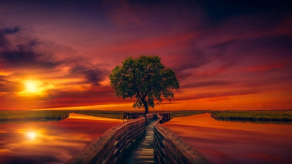 Ngắm nhìn phong cảnh đẹp cực đẹp hình nền thiên nhiên thư giãn và sống động