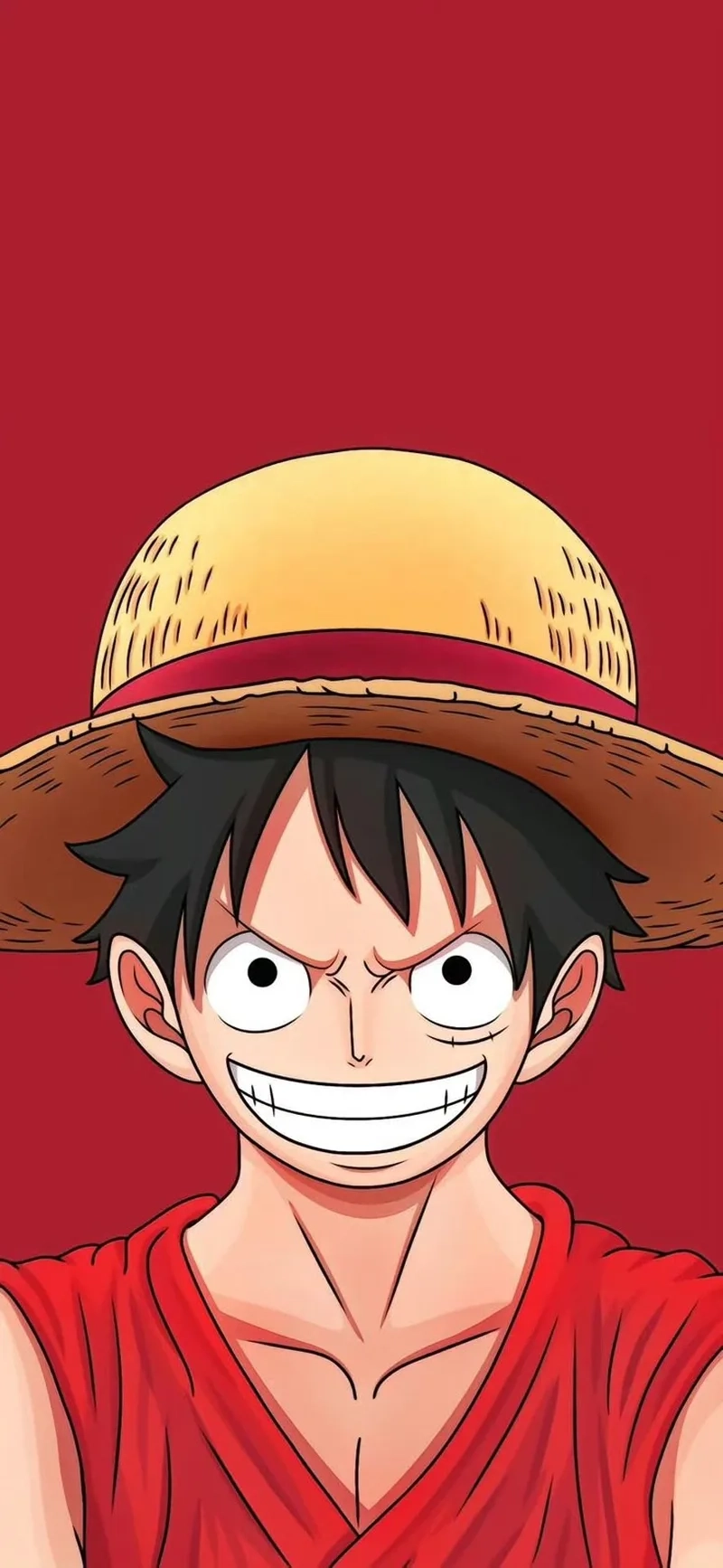Tìm hiểu sinh nhật của luffy sinh ngày mấy