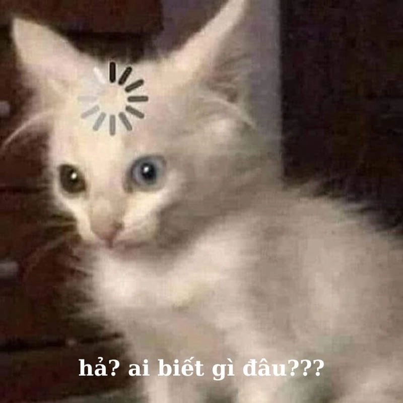 Ngắm nhìn vẻ đẹp ảnh chế ai biết gì đâu