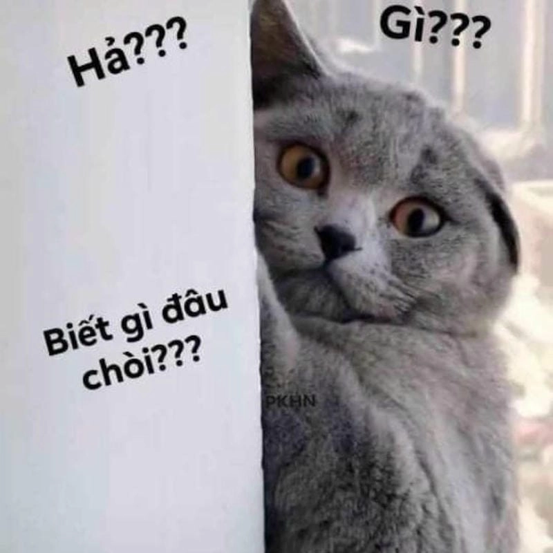 Sưu tầm những bức meme ai biết gì đâu mới nhất