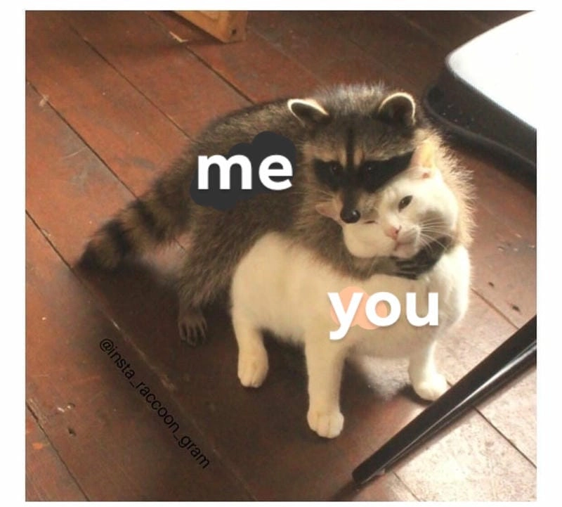 Tìm hiểu sức hút của meme an ủi