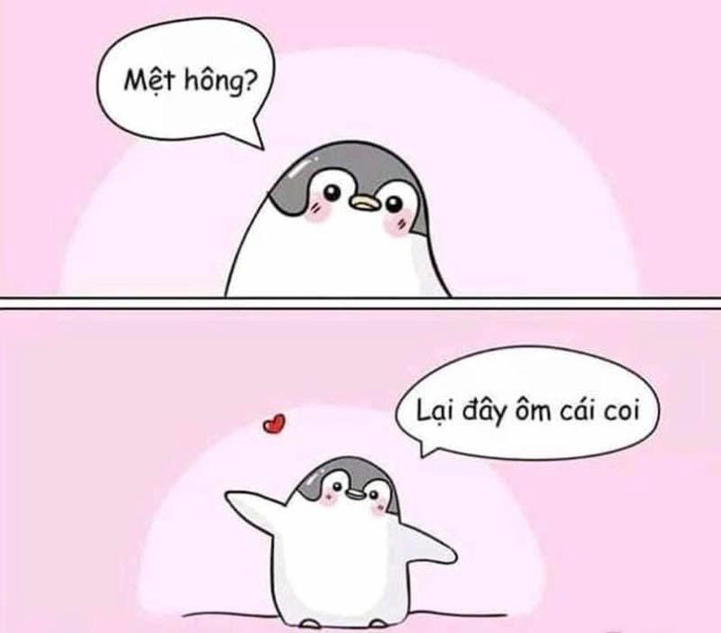 Lạc lối trong thế giới meme an ủi bạn bè