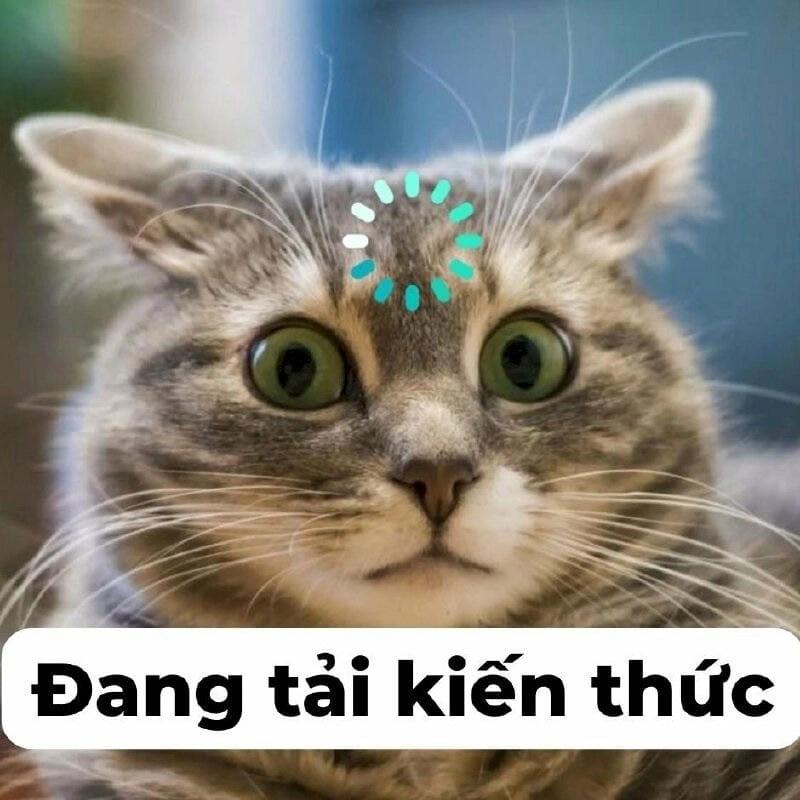 Săn lùng những khoảnh khắc meme ảnh chế