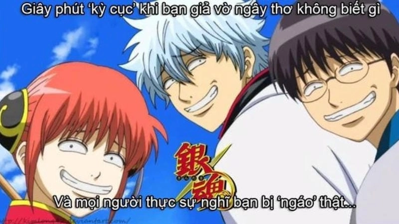 Khám phá những bức ảnh meme anime hài hước