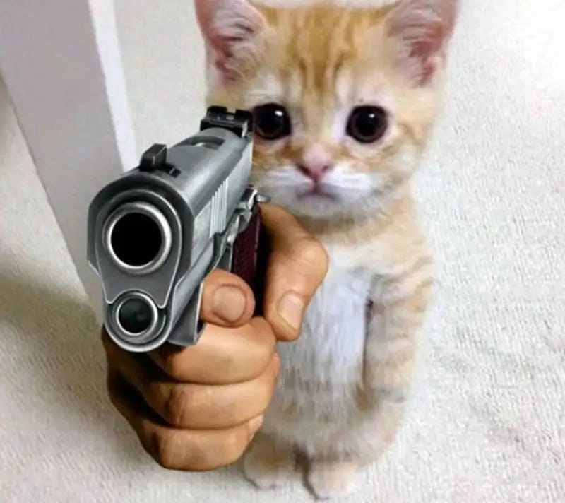 Khám phá những bức ảnh meme bắn súng hài hước