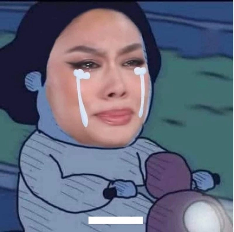 Khám phá những bức ảnh meme bất lực hài hước