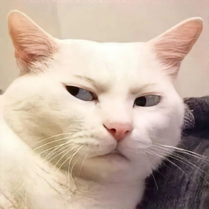 Thức dậy cùng những hình meme bất lực chế