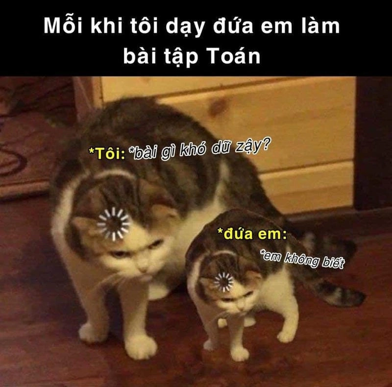 Gợi ý những bức meme bất lực vui nhộn