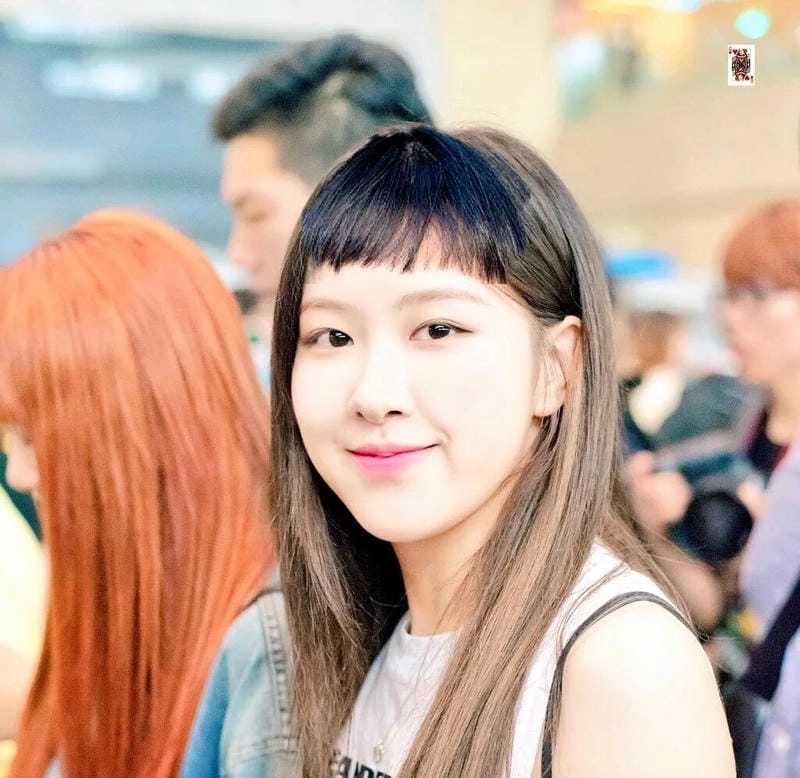 Khám phá những bức ảnh meme blackpink hài hước