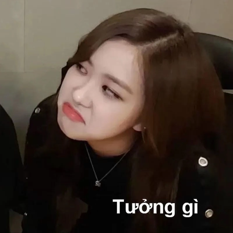 Lạc lối trong thế giới meme blackpink biểu cảm