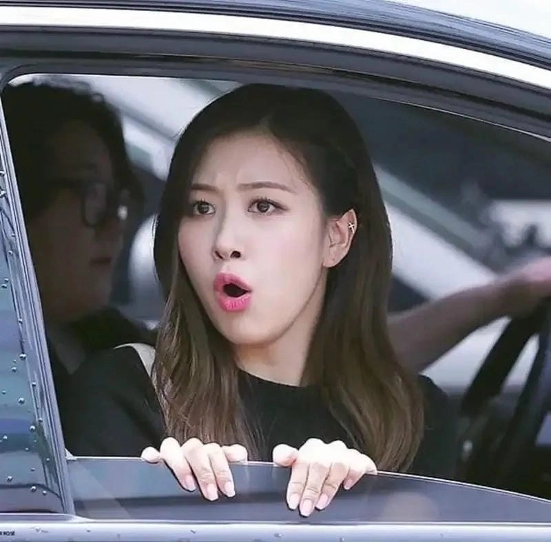 Ngắm nhìn vẻ đẹp meme blackpink đáng yêu