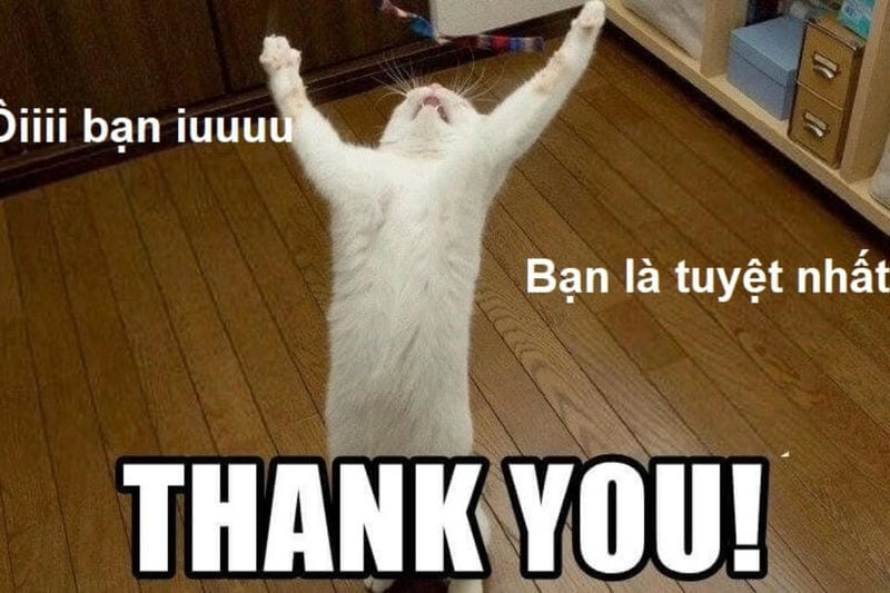 Tìm về meme cảm ơn ngộ nghĩnh