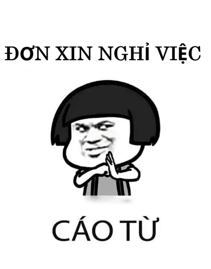 Khám phá những bức meme cáo từ hài hước