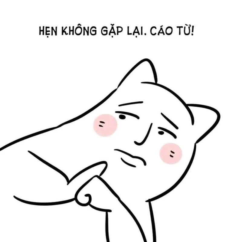 Lạc lối trong meme cáo từ mới nhất