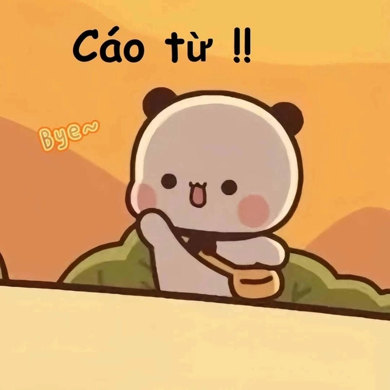 Tìm hiểu Sức hút của meme cáo từ