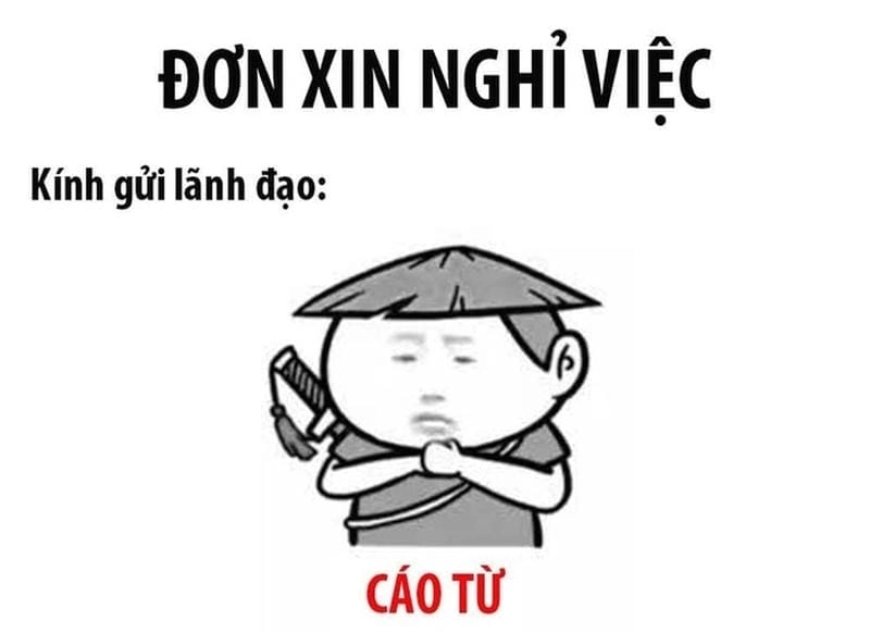 Săn lùng những khoảnh khắc ảnh meme cáo từ