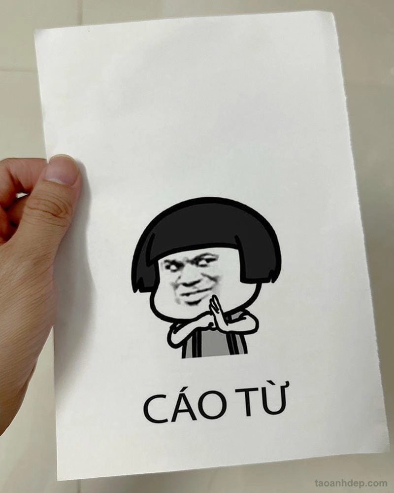 Lạc lối trong thế giới caption meme cáo từ