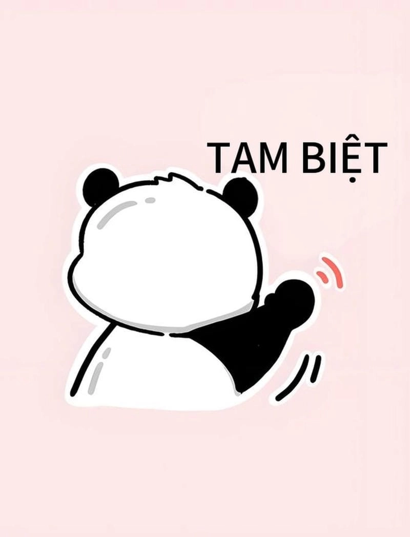 Thức dậy cùng những hình meme cáo từ viral