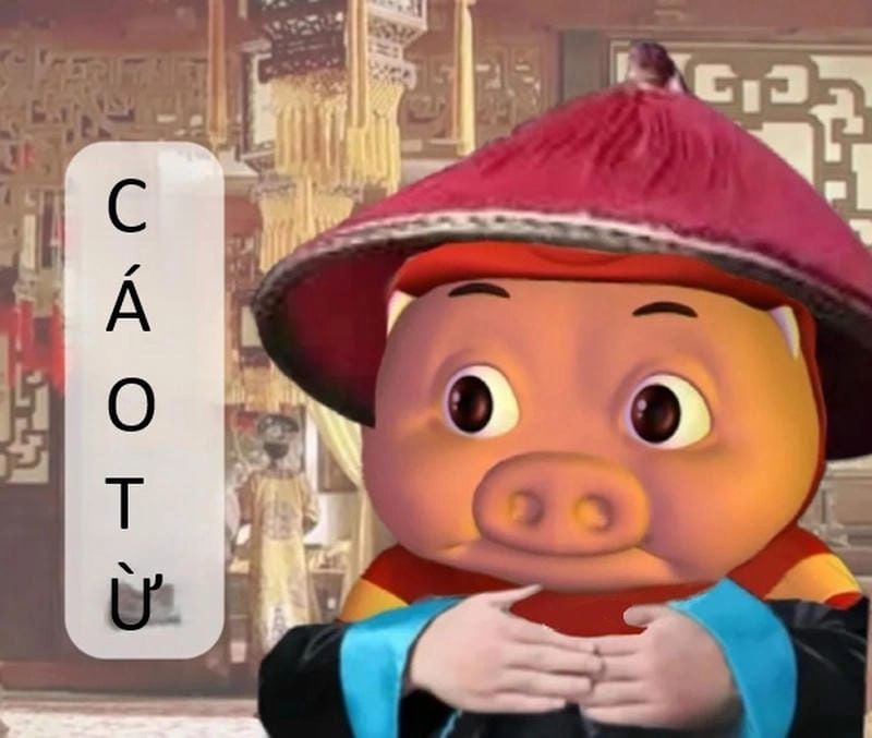 Gợi ý những bức meme cáo từ bá đạo