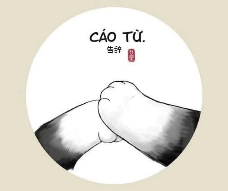 Ngắm nhìn vẻ đẹp meme cáo từ troll