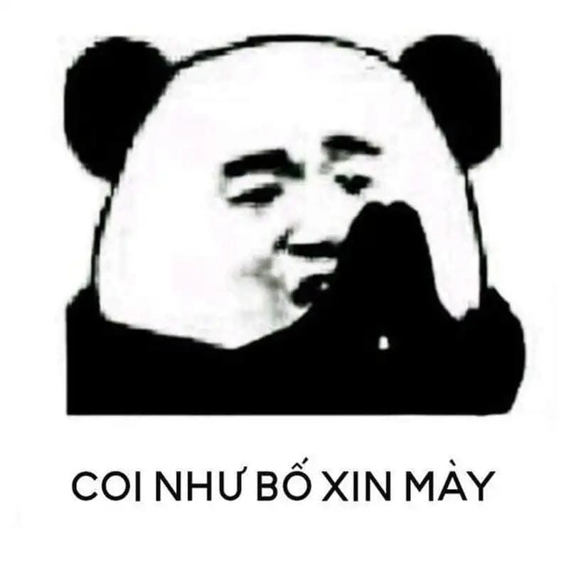 Khám phá những bức meme cầu xin hài hước