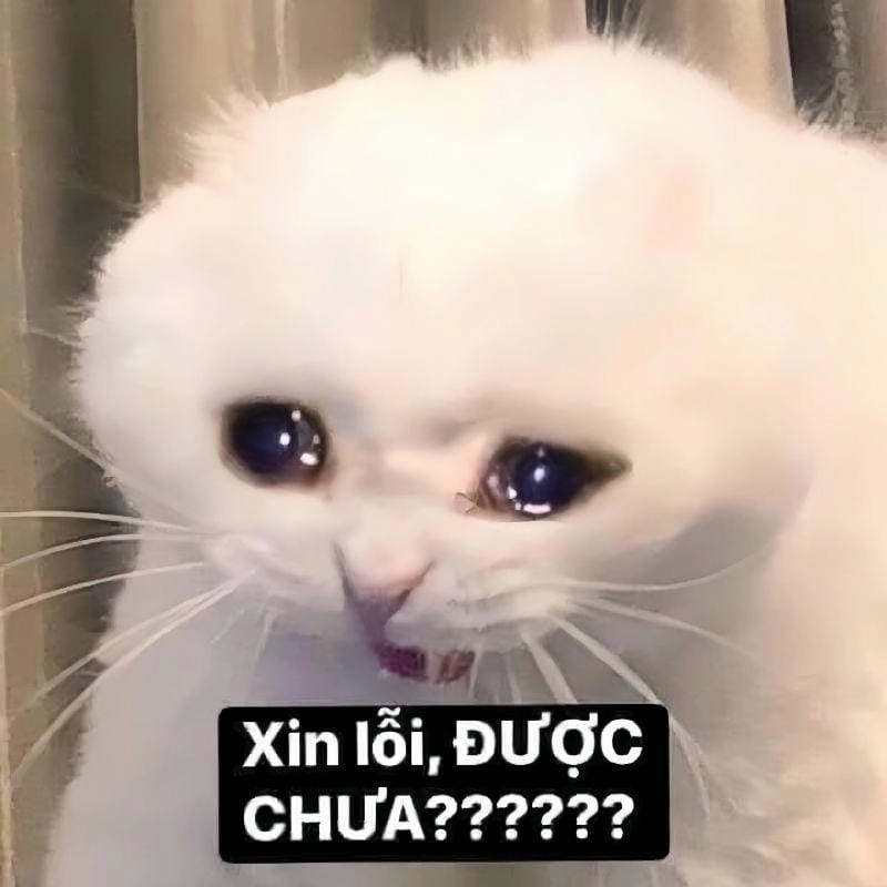 Cùng cười với những hình meme cầu xin chế