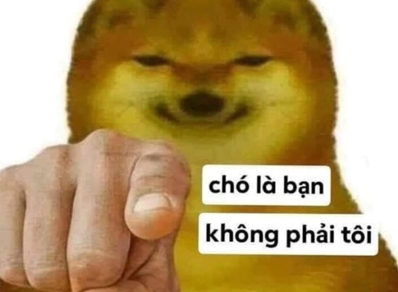 Khám phá những bức ảnh meme chỉ tay hài hước